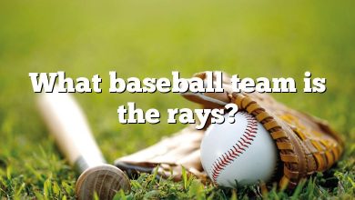 What baseball team is the rays?