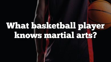 What basketball player knows martial arts?