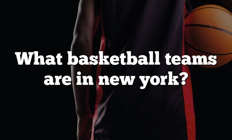 What basketball teams are in new york?