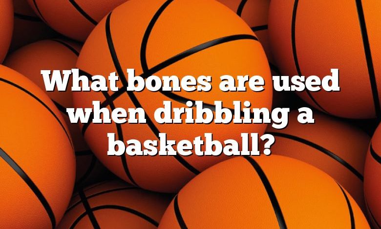 What bones are used when dribbling a basketball?