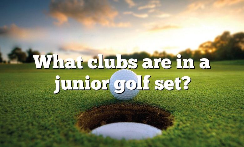 What clubs are in a junior golf set?