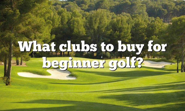 What clubs to buy for beginner golf?