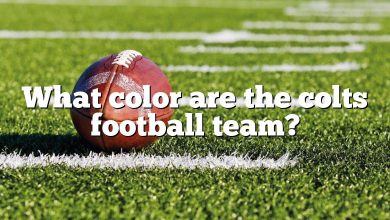 What color are the colts football team?