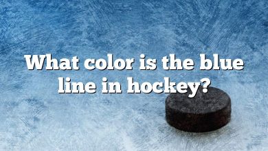 What color is the blue line in hockey?