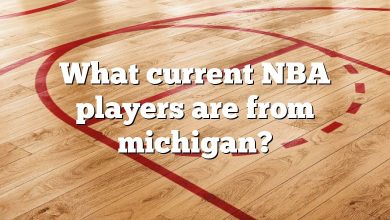 What current NBA players are from michigan?