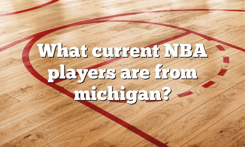 What current NBA players are from michigan?