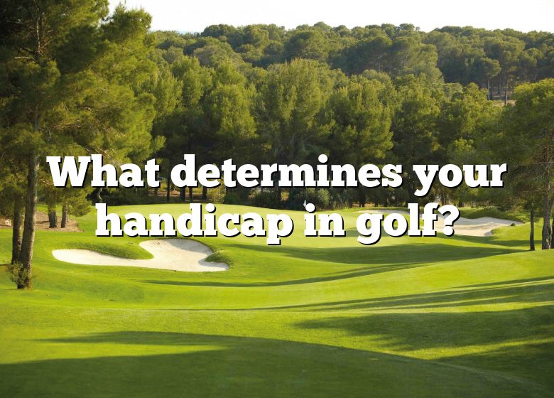 what-determines-your-handicap-in-golf-dna-of-sports