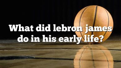 What did lebron james do in his early life?