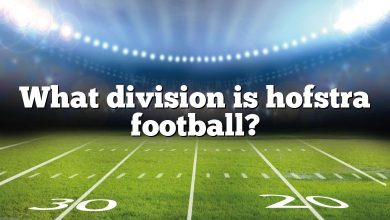 What division is hofstra football?