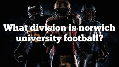 What division is norwich university football?