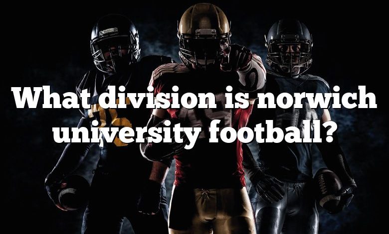 What division is norwich university football?