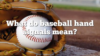 What do baseball hand signals mean?