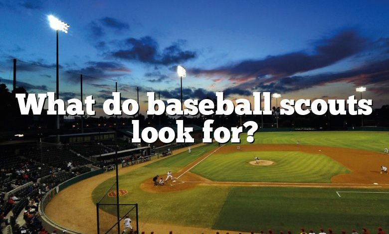 What do baseball scouts look for?