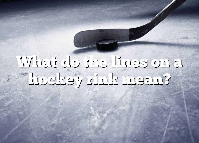 what-do-the-lines-on-a-hockey-rink-mean-dna-of-sports