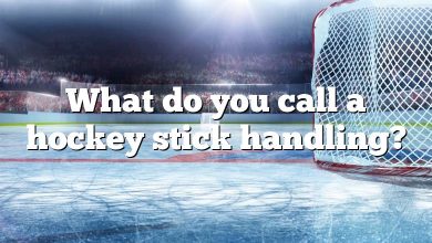 What do you call a hockey stick handling?