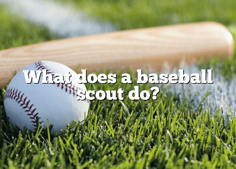 what-does-a-baseball-scout-do-dna-of-sports