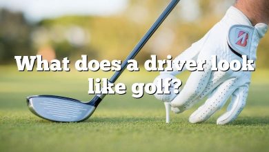 What does a driver look like golf?