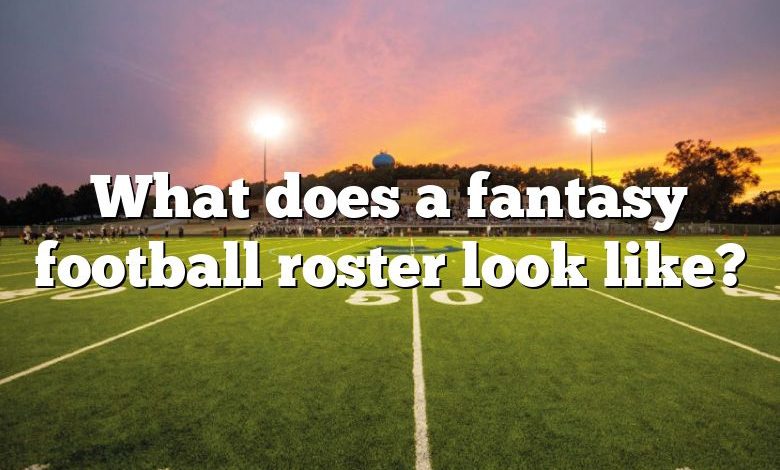 What does a fantasy football roster look like?