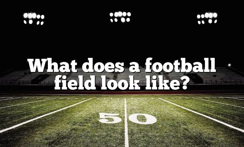 what-does-a-football-field-look-like-dna-of-sports