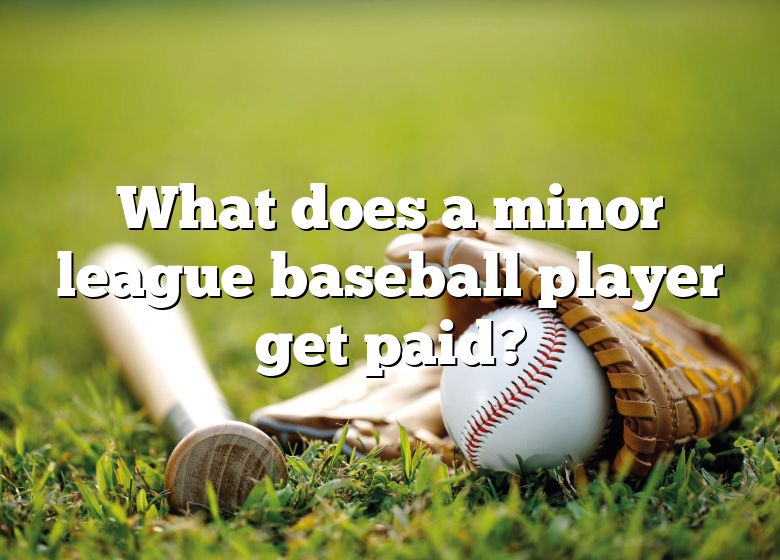 What Does A Minor League Baseball Player Get Paid? DNA Of SPORTS