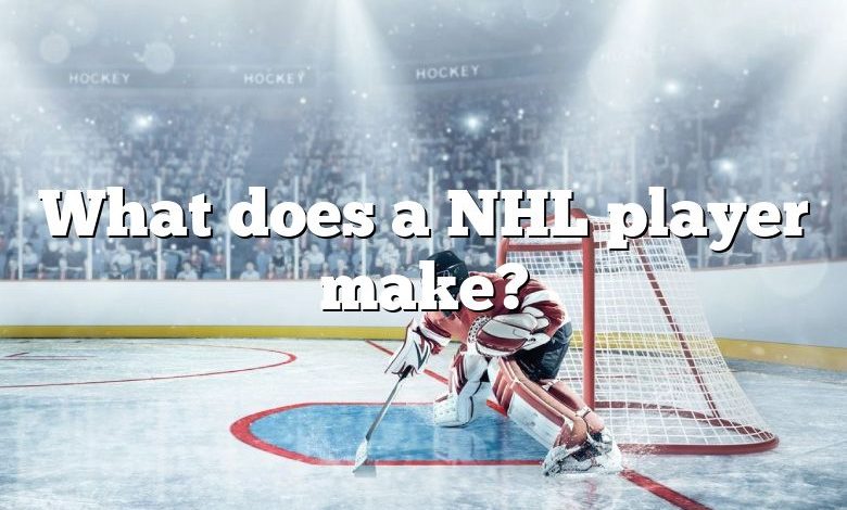 What does a NHL player make?