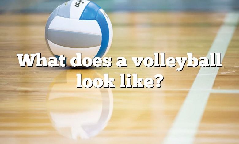 What does a volleyball look like?