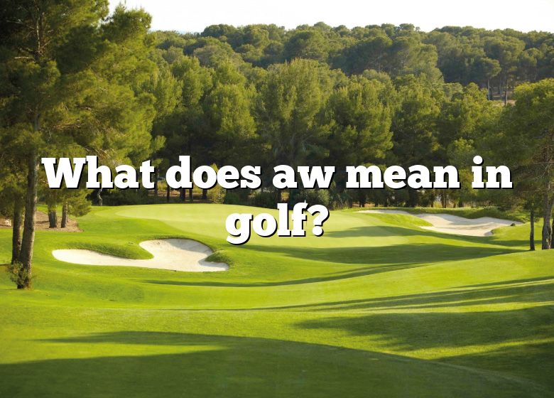 what-does-aw-mean-in-golf-dna-of-sports