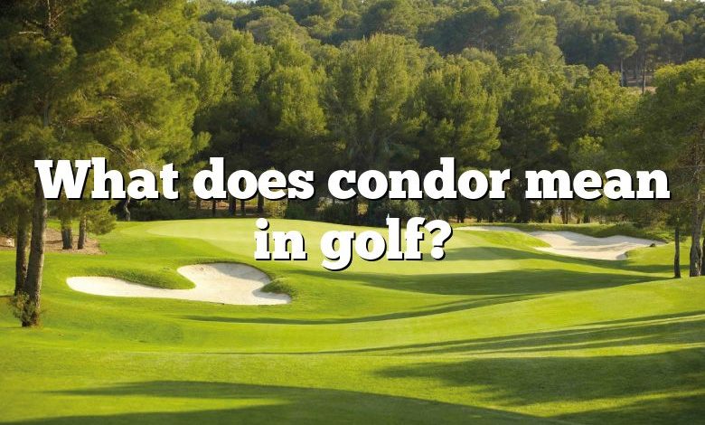 What does condor mean in golf?