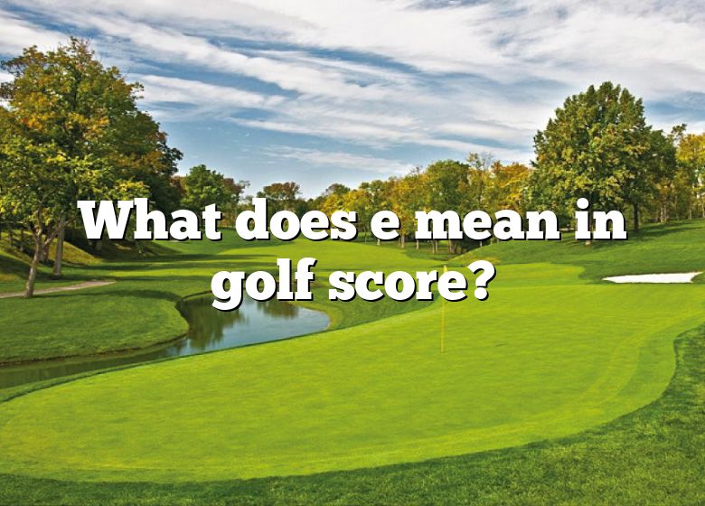 what-does-e-mean-in-golf-score-dna-of-sports