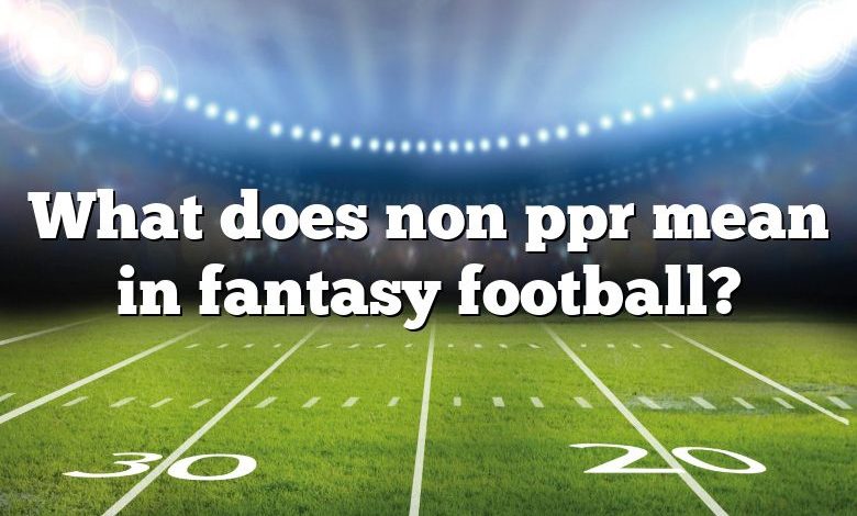 What does non ppr mean in fantasy football?