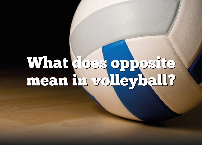 what-does-opposite-mean-in-volleyball-dna-of-sports