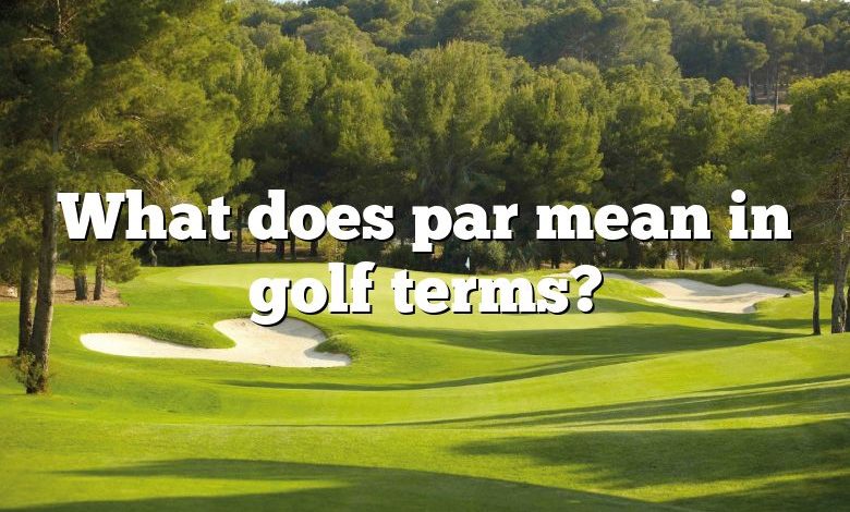 What does par mean in golf terms?