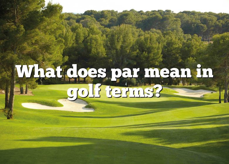 what-does-par-mean-in-golf-terms-dna-of-sports