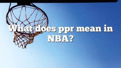 What does ppr mean in NBA?