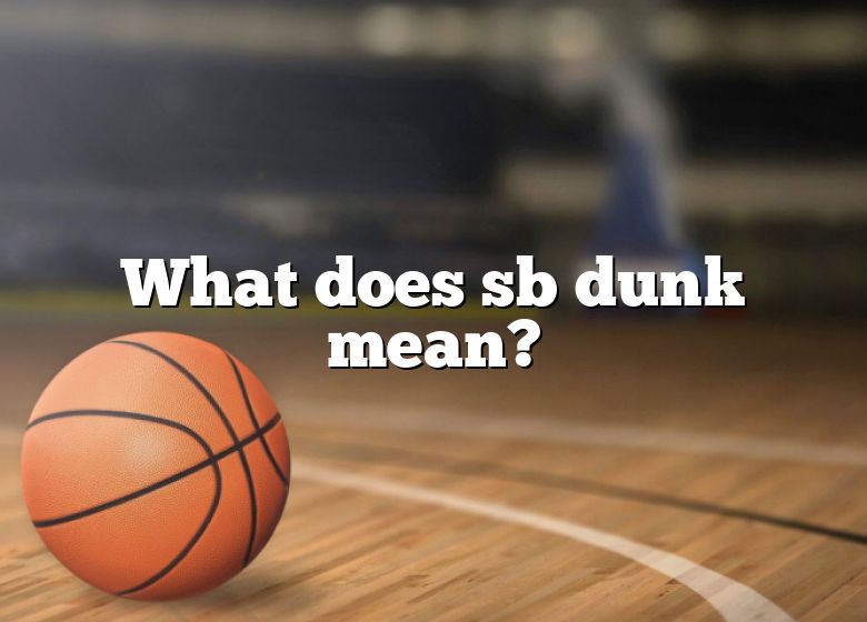 what-does-sb-dunk-mean-dna-of-sports