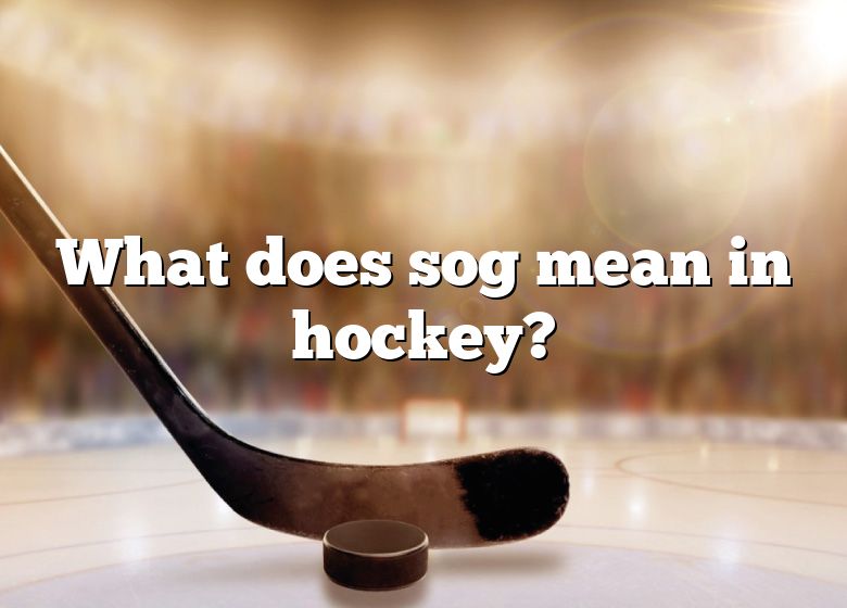 what-does-sog-mean-in-hockey-dna-of-sports