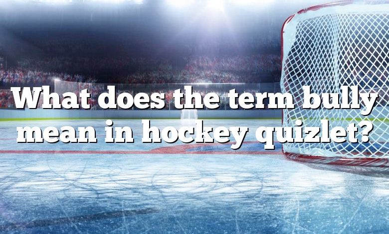 What does the term bully mean in hockey quizlet?