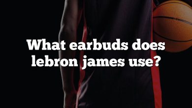 What earbuds does lebron james use?