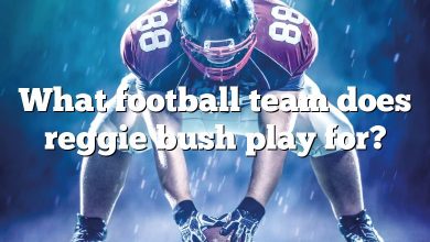What football team does reggie bush play for?