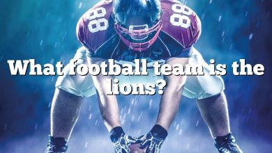 What football team is the lions?