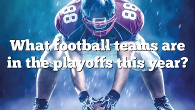 What football teams are in the playoffs this year?