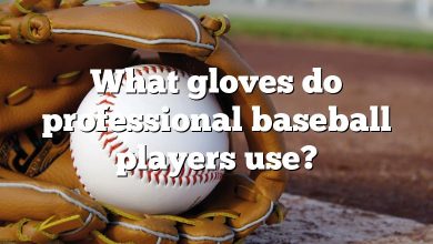 What gloves do professional baseball players use?