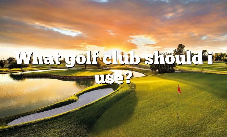 What golf club should i use?