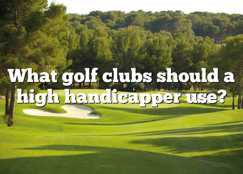 what-golf-clubs-should-a-high-handicapper-use-dna-of-sports