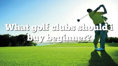 What golf clubs should i buy beginner?