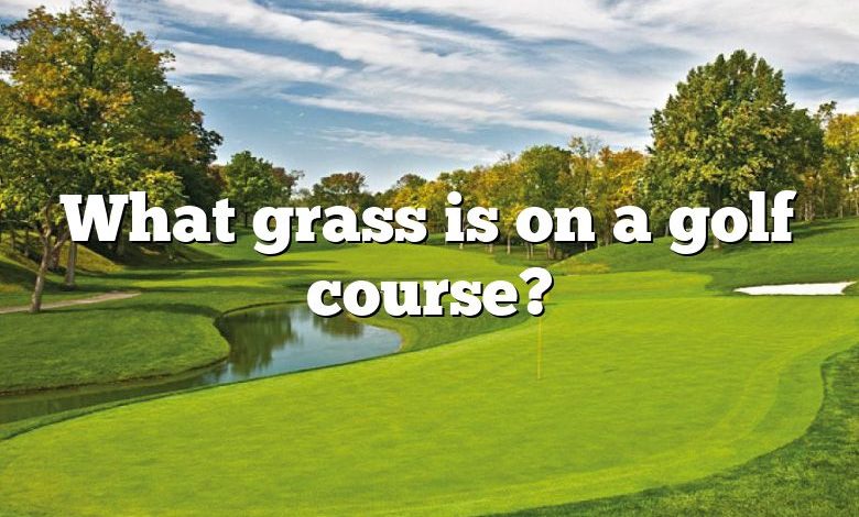 What grass is on a golf course?