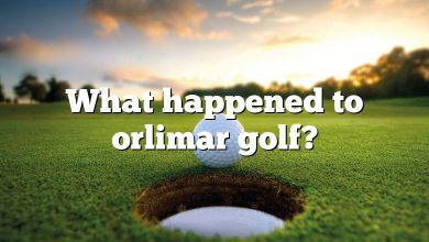 What happened to orlimar golf?