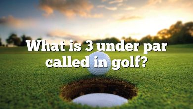 What is 3 under par called in golf?