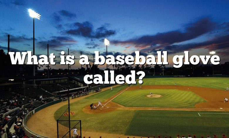 What is a baseball glove called?