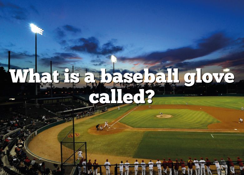 what-is-a-baseball-glove-called-dna-of-sports